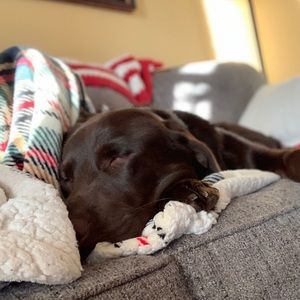 Meet your Posher, Kasey